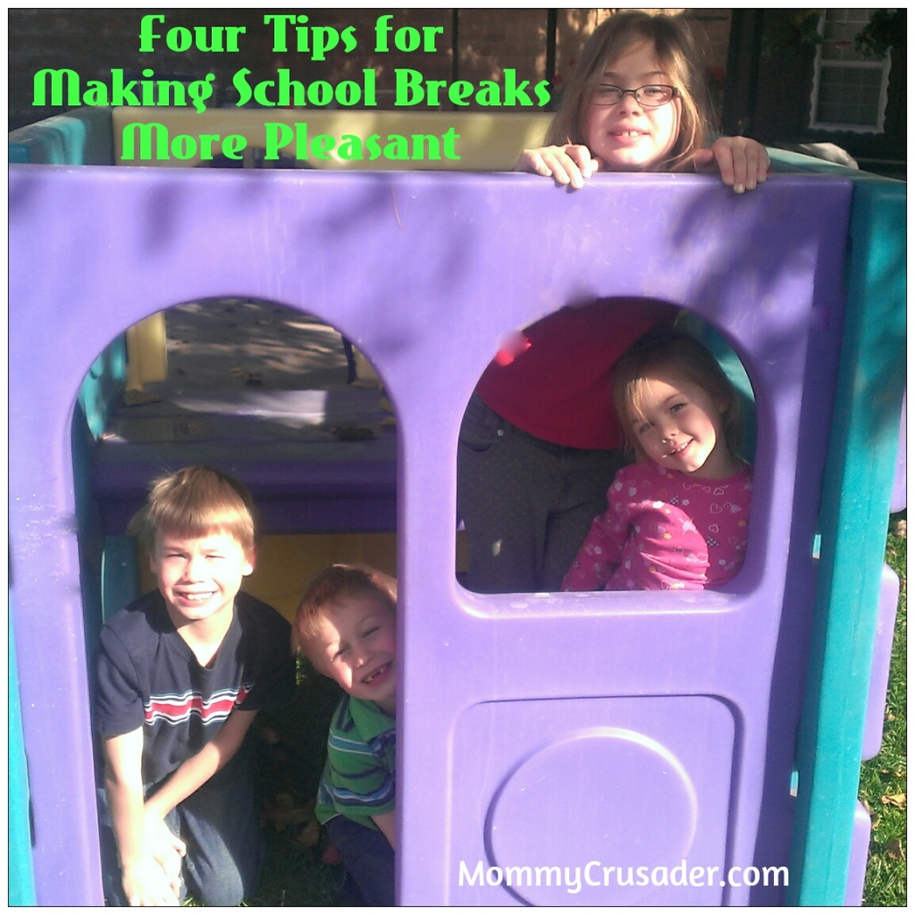 Four Tips for Making School Breaks More Pleasant