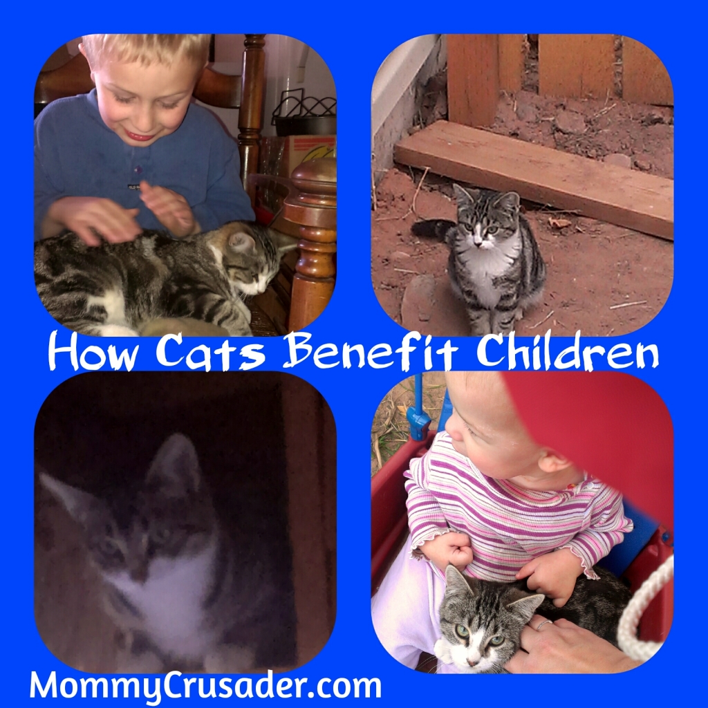 How Cats Benefit Children | MommyCrusader.com