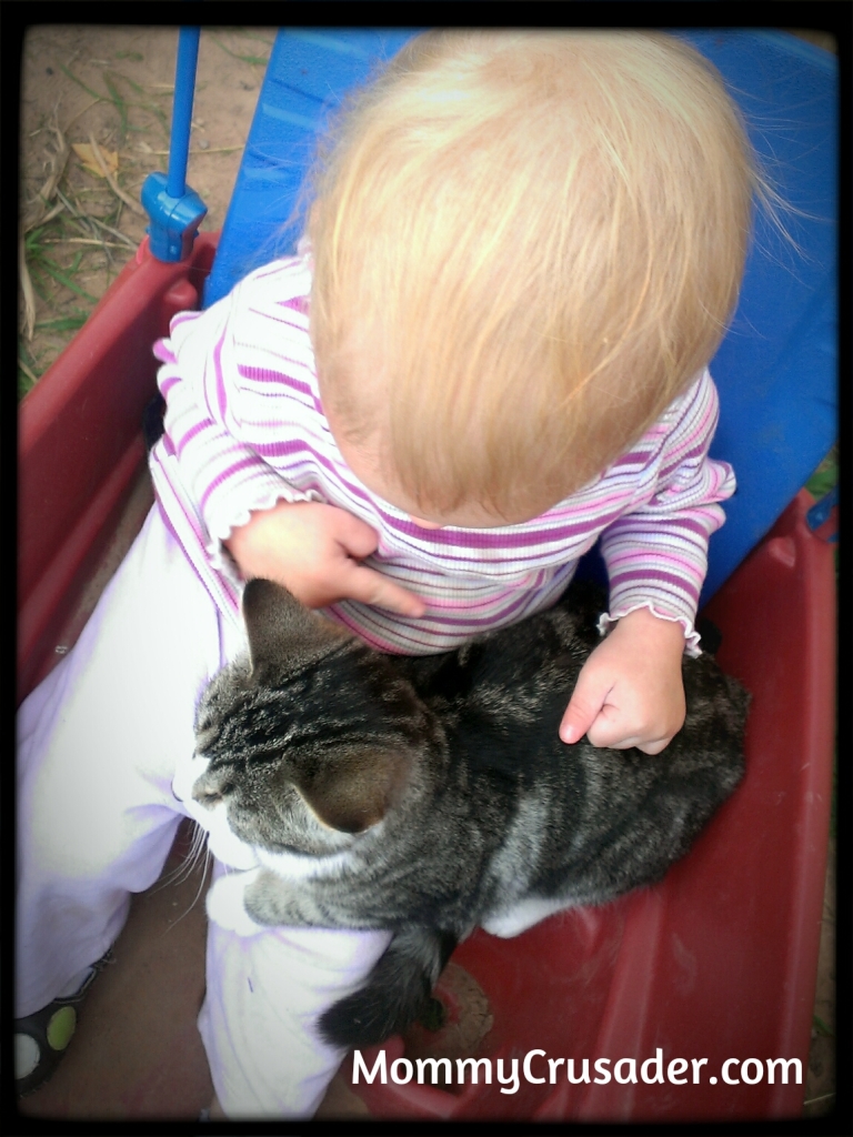 Baby with cat | MommyCrusader.com