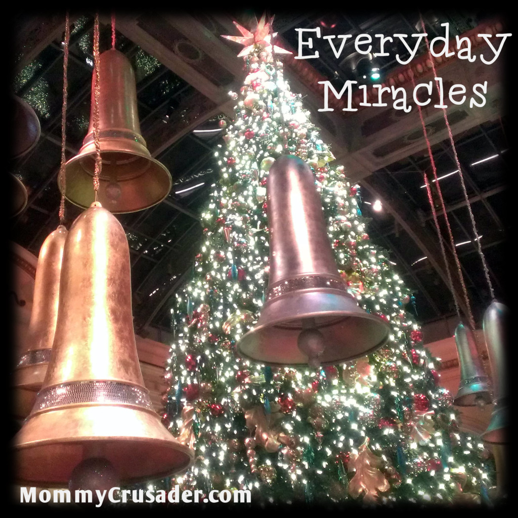 Everyday Miracles | MommyCrusader.com