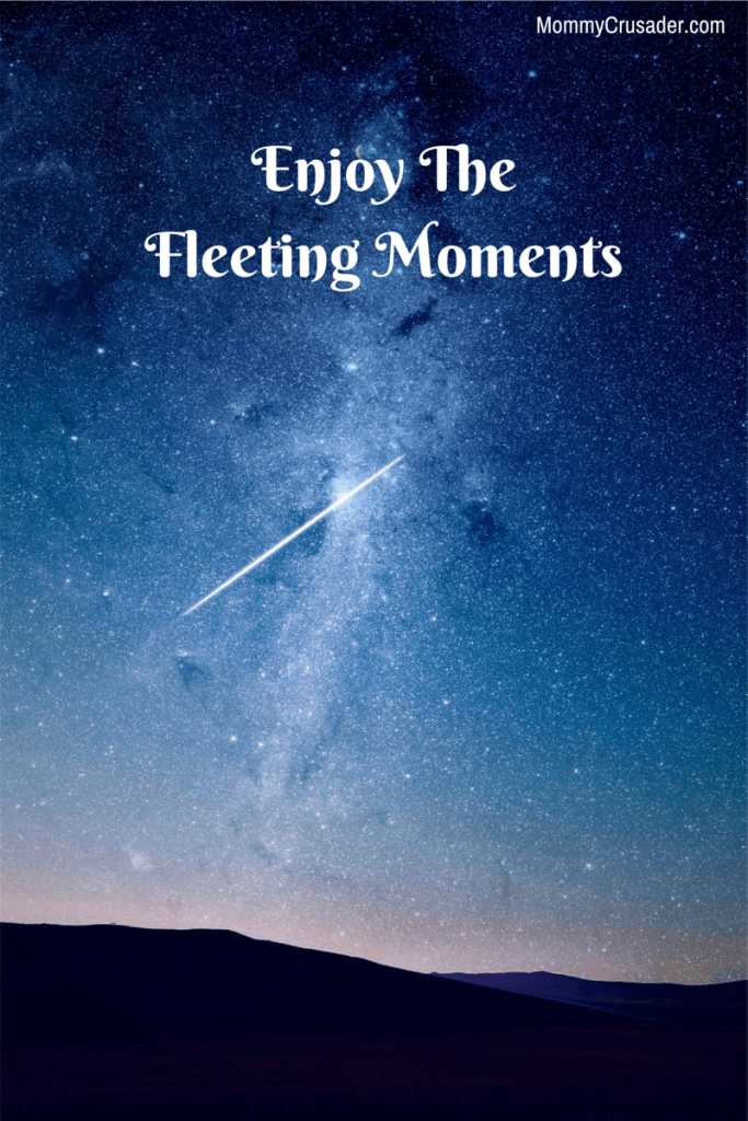 Enjoy TheFleeting Moments | MommyCrusader.com