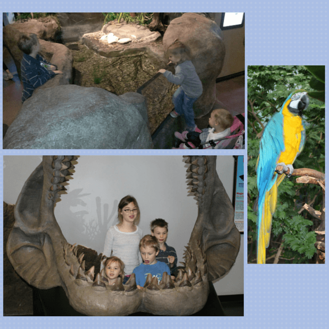 Some of the features of the Aquarium that we enjoyed. 
