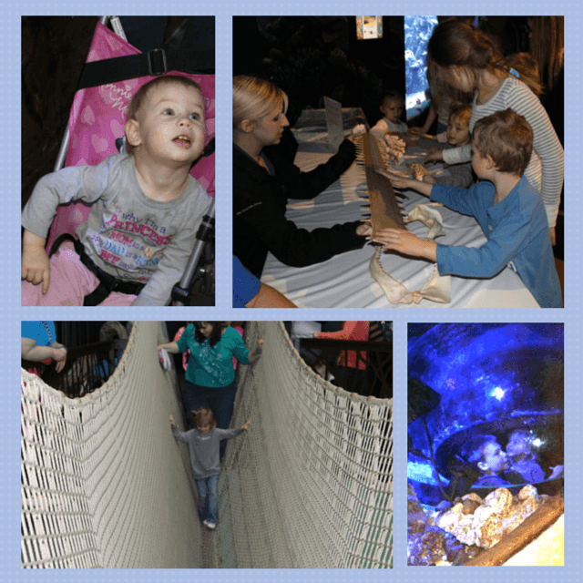 Here are some of the fun experiences we got to have at the Aquarium. 